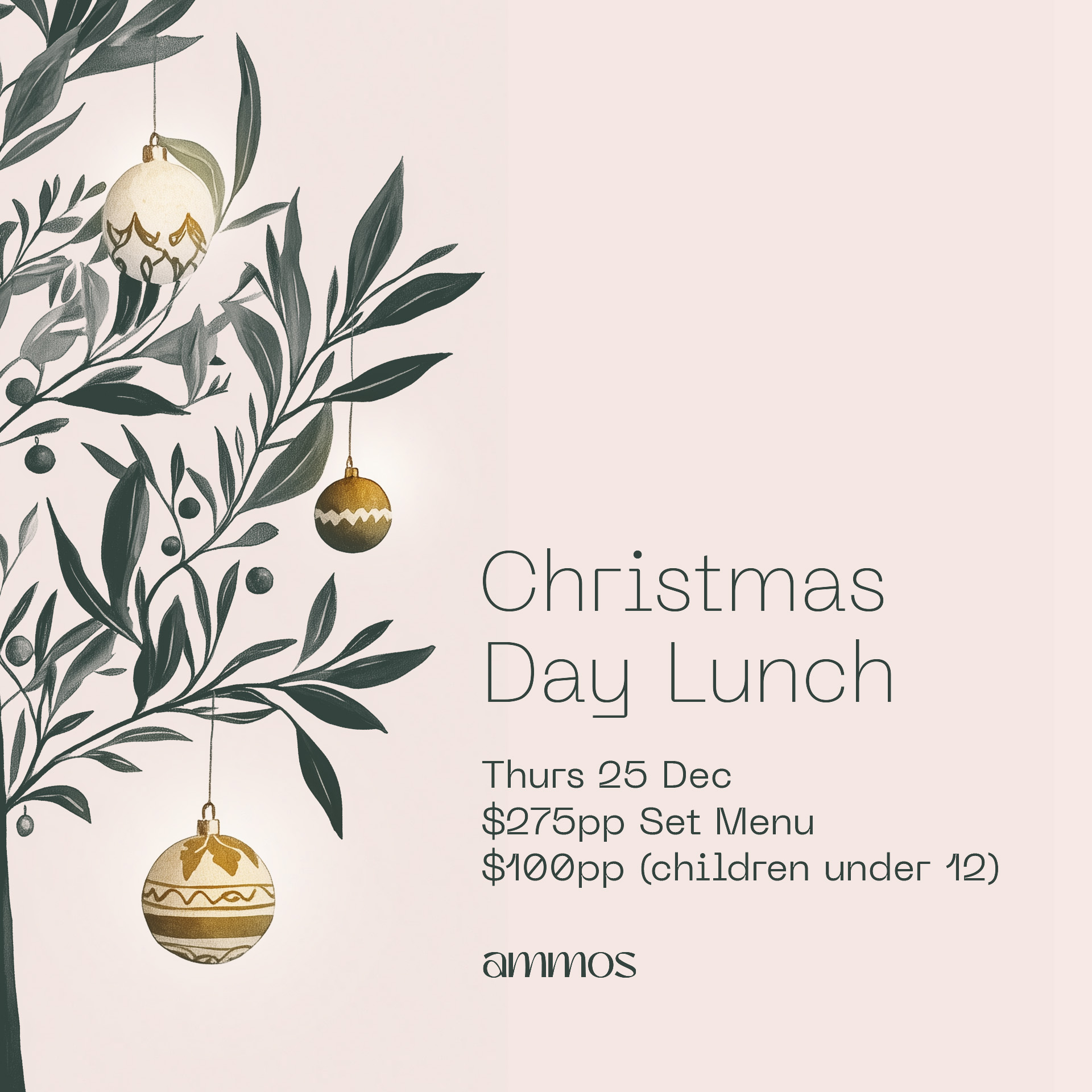Ammos Christmas Day Lunch